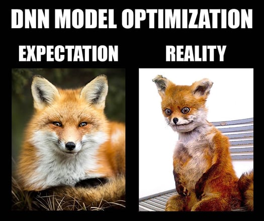 DNN model optimization expectation vs reality